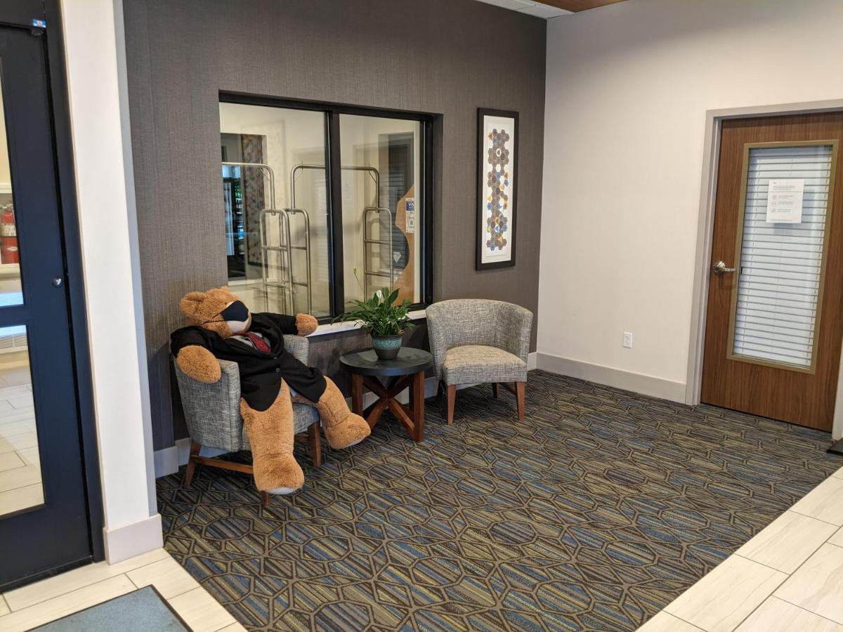 Holiday Inn Express South Burlington By Ihg Buitenkant foto