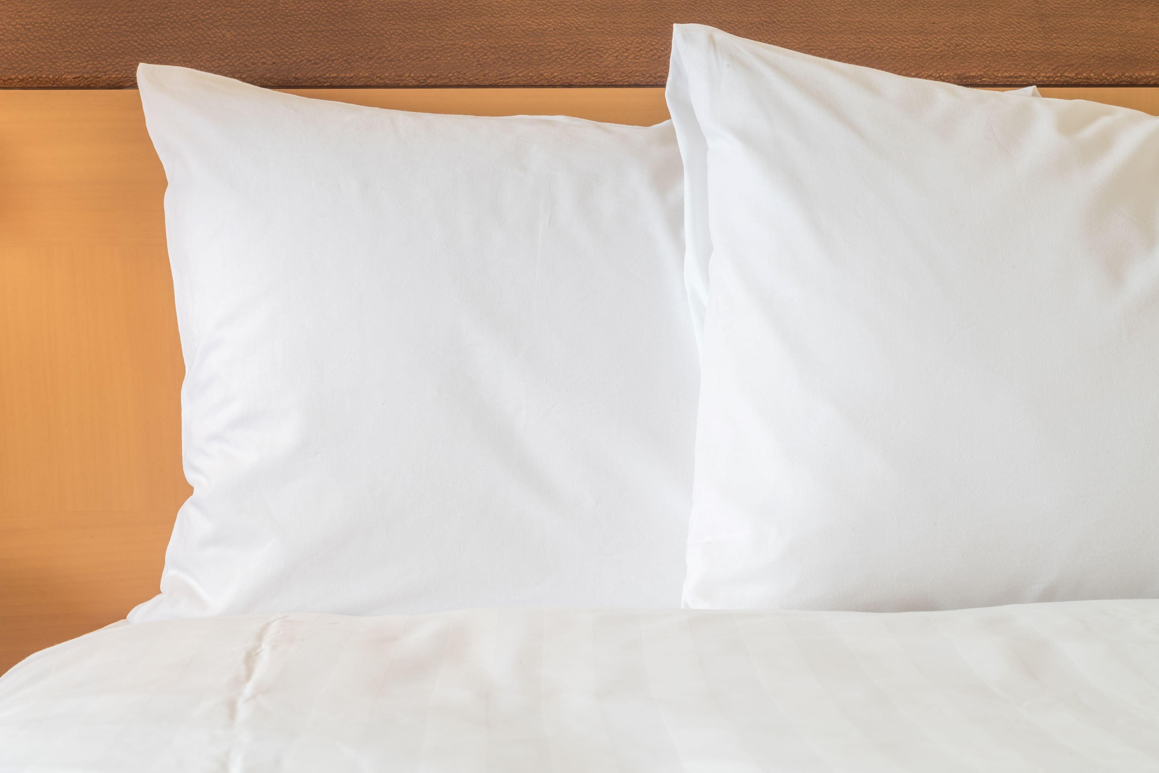 Holiday Inn Express South Burlington By Ihg Buitenkant foto